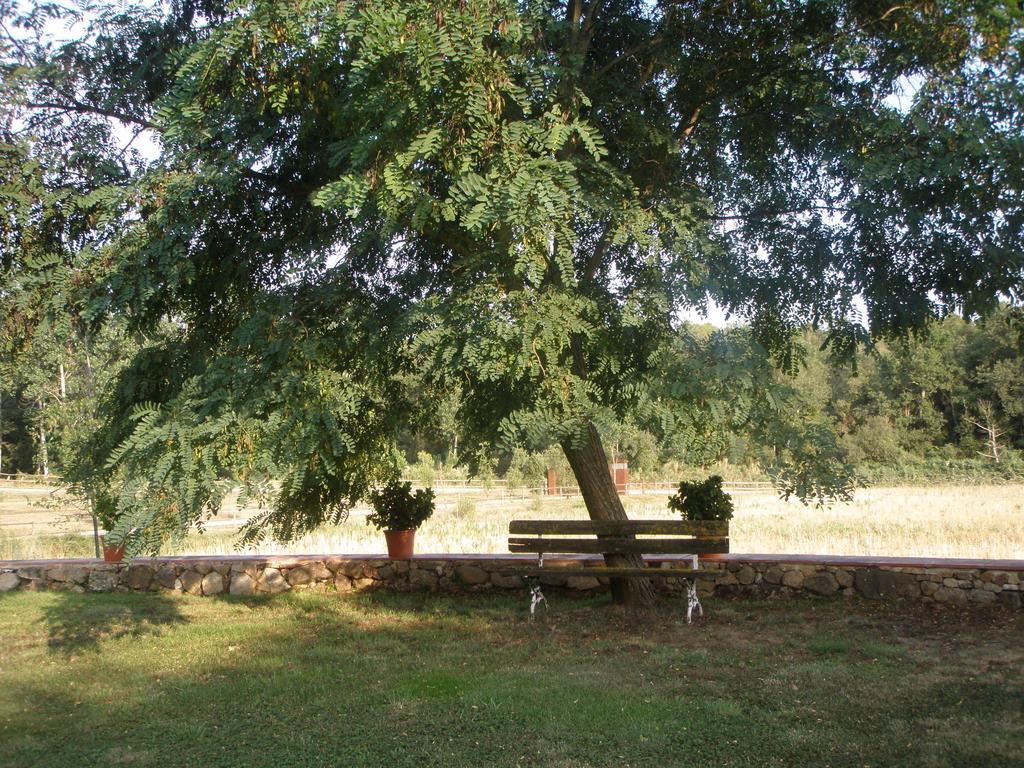 Mas Vilalonga Petit Cassà de la Selva Zewnętrze zdjęcie